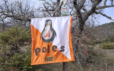 Retour sur la course du Championnat de Ligue Moyenne Distance au Plan d’Aups